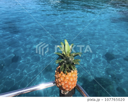 パイナップル パイン 沖縄 慶良間諸島 パイナップル パイン 沖縄 慶良間諸島 107765020