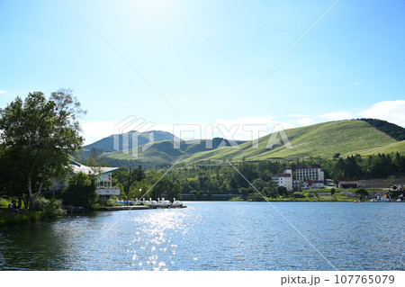 白樺湖の湖岸 107765079