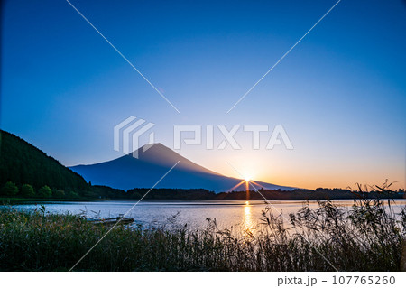 (静岡県)秋の田貫湖畔から見る富士山・日の出 (静岡県)秋の田貫湖畔から見る富士山・日の出 107765260
