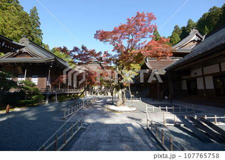 高野山金剛峯寺　龍泉院　和歌山県高野町 107765758