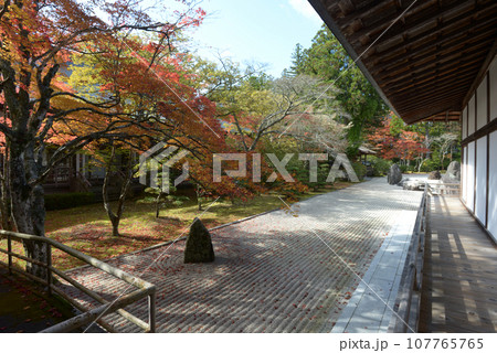 高野山金剛峯寺　別殿南の庭園　和歌山県高野町 107765765