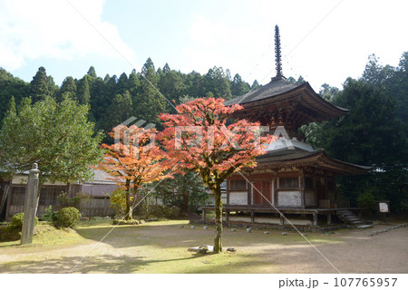 高野山金剛峯寺　金剛三昧院の多宝塔　和歌山県高野町 107765957