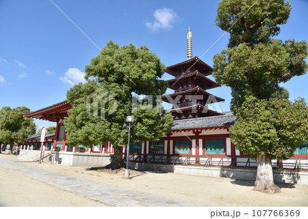 四天王寺　中心伽藍　大阪市天王寺区 107766369