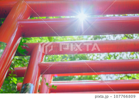 鳥居と蜘蛛の巣と太陽の光【臼田稲荷神社】 鳥居と蜘蛛の巣と太陽の光【臼田稲荷神社】 107766809