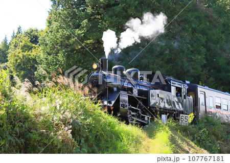 真岡鐵道「ススキ輝く峠路を走るSLもおか号」 107767181