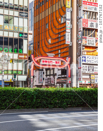 新宿　歌舞伎町　縦構図 107767182