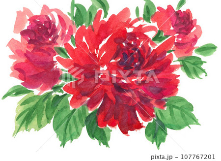 水彩で描いたダリアとバラ231014pix7 水彩で描いたダリアとバラ231014pix7 107767201