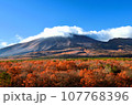 鮮やかな山麓の紅葉 107768396
