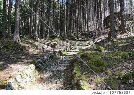 青崩峠に続く石畳の旧道　塩の道 107768687