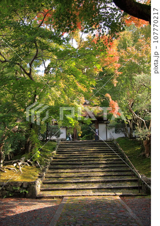 京都の古寺　法然院 107770217