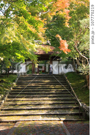 京都の古寺 法然院 京都の古寺 法然院 107770219