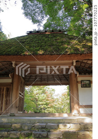 京都の古寺　法然院 107770225