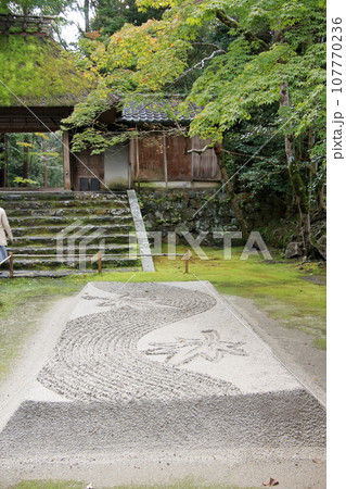 京都の古寺　法然院 107770236