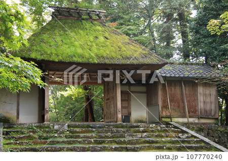 京都の古寺　法然院 107770240