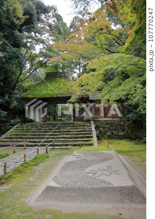 京都の古寺　法然院 107770247