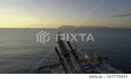 Close-up of old and destroyed ship trunk and gull sitting on a rusty pipe against the sunset sky. Shot. Marine landscapes Close-up of old and destroyed ship trunk and gull sitting on a rusty pipe against the sunset sky. Shot. Marine landscapes 107770843