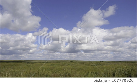 Summer landscape with field of grass,blue sky timelapse. Green Grass Field Landscape with fantastic clouds in the background. Great summer landscape. Summer landscape with field of grass,blue sky timelapse. Green Grass Field Landscape with fantastic clouds in the background. Great summer landscape. 107770926