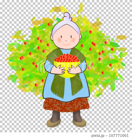 一位老婦人採摘漿果的插圖 107771001