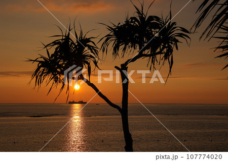 夕日に染まる海を航二隻の船 107774020