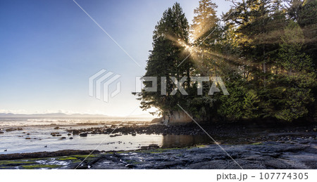 Rocky Shore on the Pacific Ocean Coast. Sunny Sunset. Botanical Beach, Vancouver Island Rocky Shore on the Pacific Ocean Coast. Sunny Sunset. Botanical Beach, Vancouver Island 107774305