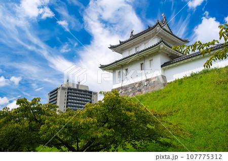栃木県宇都宮市 宇都宮城址公園、富士見櫓 栃木県宇都宮市 宇都宮城址公園、富士見櫓 107775312