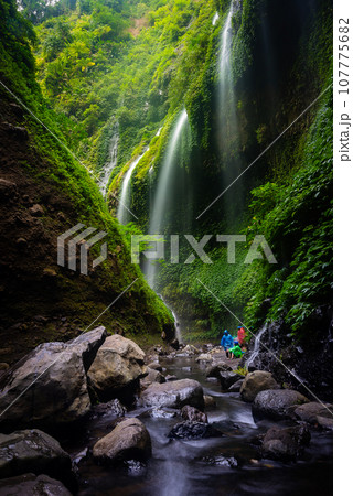 Madakaripura Waterfall Madakaripura Waterfall 107775682