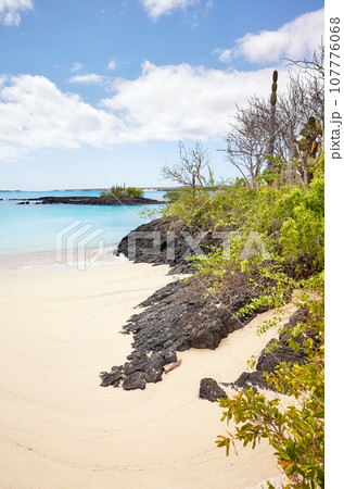 Pristine beach on an uninhabited island, Galapagos Islands, Ecuador. Pristine beach on an uninhabited island, Galapagos Islands, Ecuador. 107776068