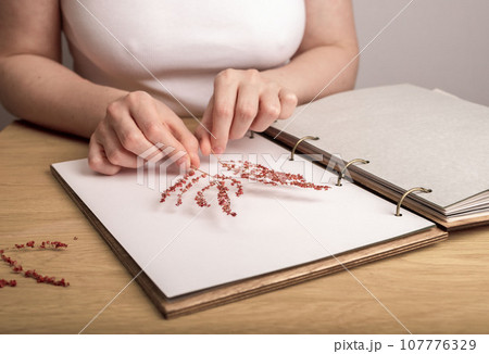 Herbarium book, botanical album with dry pressed floral plants Herbarium book, botanical album with dry pressed floral plants 107776329