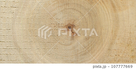 Walnut wood log, can be used as background, wood grain texture 107777669