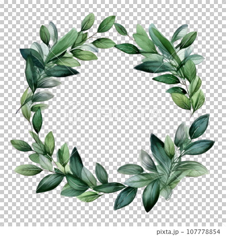 Green watercolor botanical leaves and branches... - Stock Illustration ...