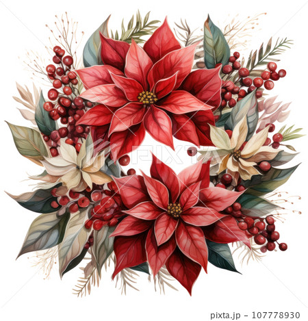 watercolor poinsettia christmas wreath flower isolated 107778930