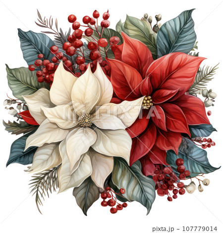 watercolor poinsettia christmas wreath flower isolated 107779014