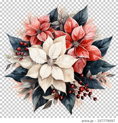 watercolor poinsettia christmas wreath flower isolated 107779097