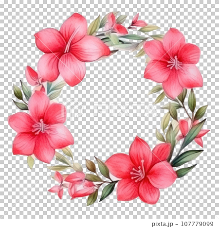 watercolor poinsettia flower isolated watercolor poinsettia flower isolated 107779099