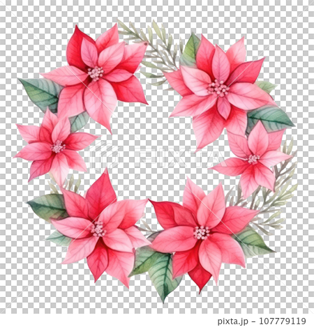 watercolor poinsettia flower isolated watercolor poinsettia flower isolated 107779119