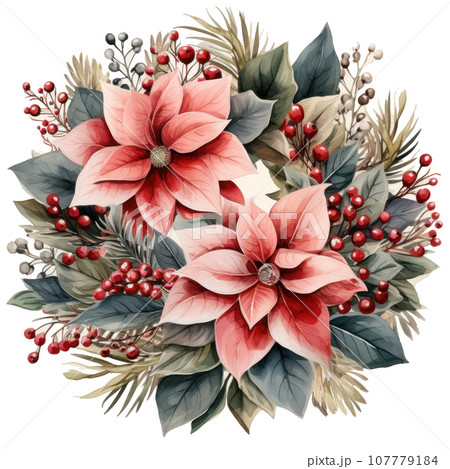 watercolor poinsettia christmas wreath flower isolated 107779184