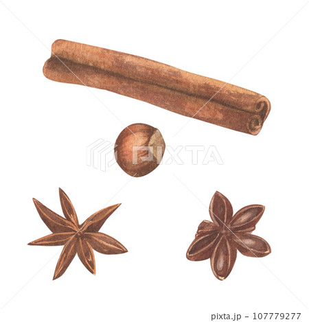 A set of spices drawn in watercolor. 107779277