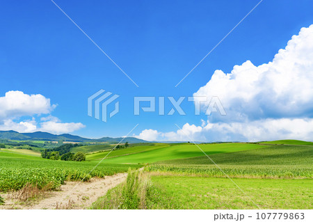 北海道 夏(8月)の美瑛・富良野 北海道 夏(8月)の美瑛・富良野 107779863