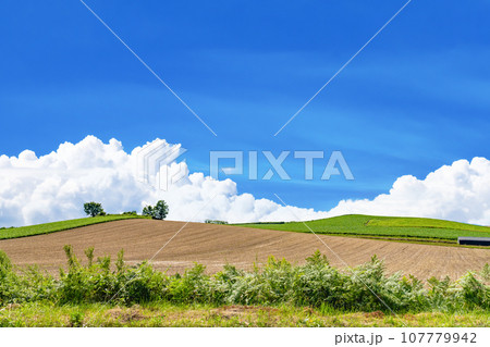 北海道 夏(8月)の美瑛・富良野 北海道 夏(8月)の美瑛・富良野 107779942