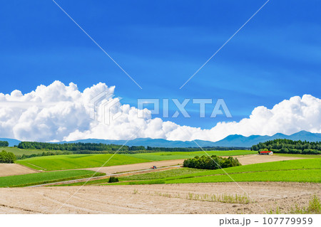 北海道 夏(8月)の美瑛・富良野 北海道 夏(8月)の美瑛・富良野 107779959