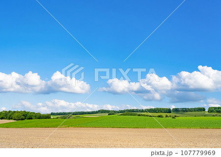 北海道 夏(8月)の美瑛・富良野 北海道 夏(8月)の美瑛・富良野 107779969