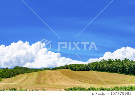 北海道 夏(8月)の美瑛・富良野 北海道 夏(8月)の美瑛・富良野 107779983