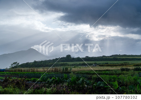 高原の光芒 高原の光芒 107780102