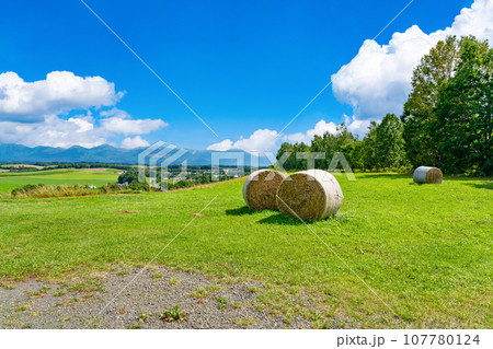 北海道　夏(8月)の美瑛・富良野 107780124