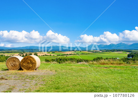 北海道　夏(8月)の美瑛・富良野 107780126
