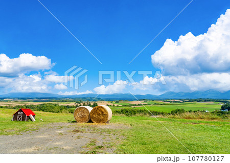 北海道 夏(8月)の美瑛・富良野 北海道 夏(8月)の美瑛・富良野 107780127