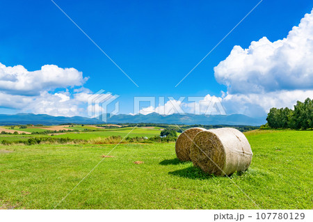 北海道　夏(8月)の美瑛・富良野 107780129