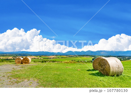 北海道　夏(8月)の美瑛・富良野 107780130