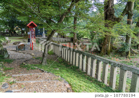 日本書紀に出てくる景行天皇の弟姫（おとひめ）伝説の地　泳宮（くくりのみや）に咲く彼岸花 107780194