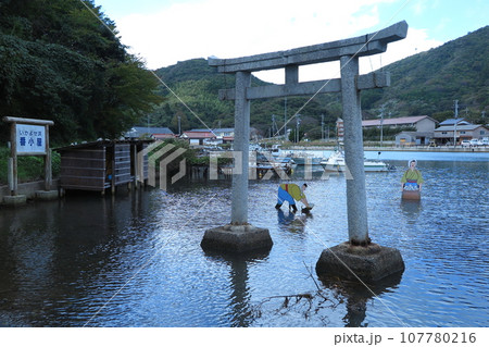 隠岐諸島:西ノ島の由良比女神社、イカ寄せ伝承の残る浜辺 隠岐諸島:西ノ島の由良比女神社、イカ寄せ伝承の残る浜辺 107780216